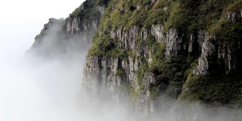 事故处理36小时:掌握关键法律权利,从容应对交通事故