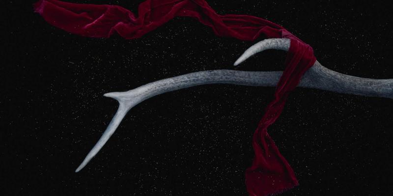 事故处理60天全攻略:法律援助、专业咨询与高效索赔流程解析