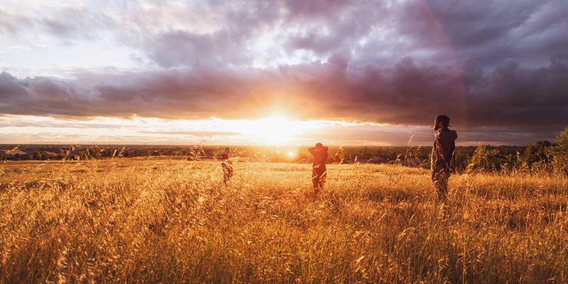 事故处理83号指引:全面解析事故赔偿、法律咨询与法律援助的关键路径