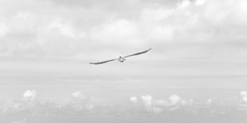 事故处理98：交通事故与工伤事故中的法律权利全解析