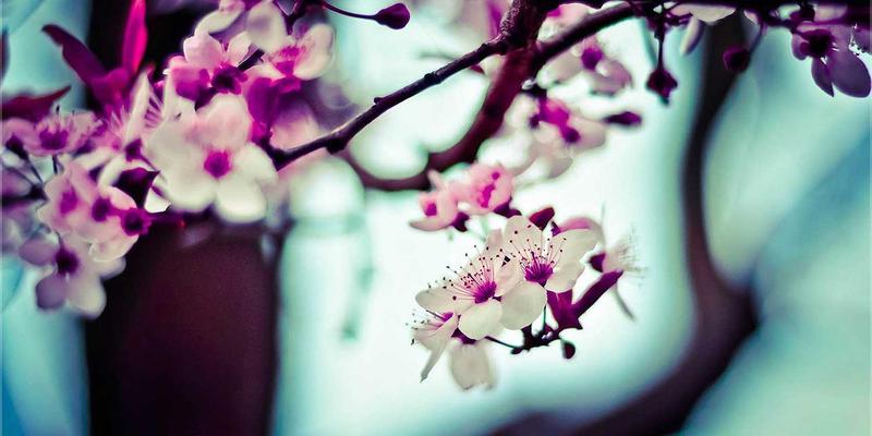 事故处理中如何善用法律资源:您的权利、咨询与援助指南