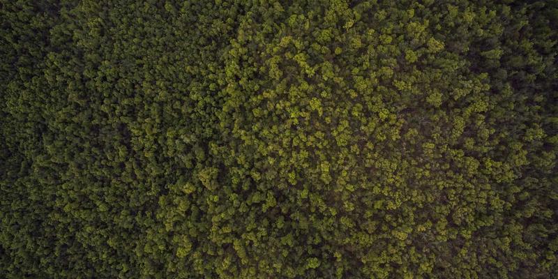 事故处理全指南:掌握索赔流程、善用法律援助,有效争取事故赔偿