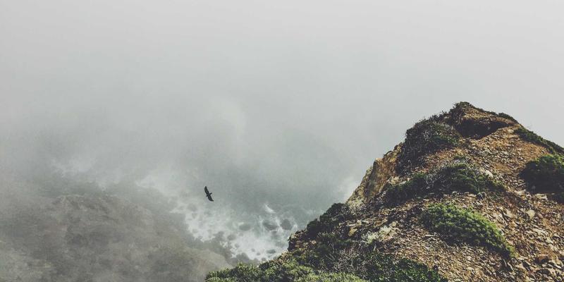 交通事故处理全流程指南:从现场应对到法律援助的69个关键要点