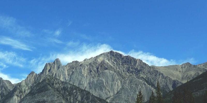 交通事故赔偿全解析：专业处理流程与法律援助指南