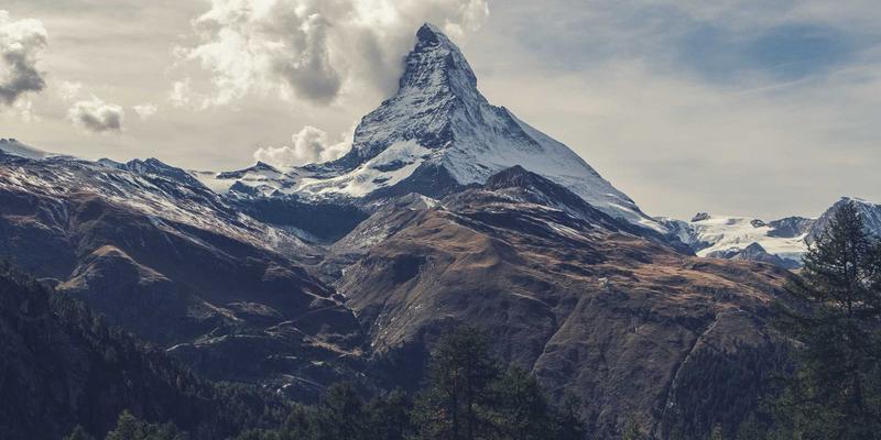 大型活动安全事故：受害者索赔流程与组织者法律责任全解析