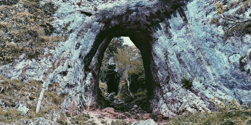 工伤事故与交通事故后，如何申请医疗事故技术鉴定？关键流程与法律援助指南