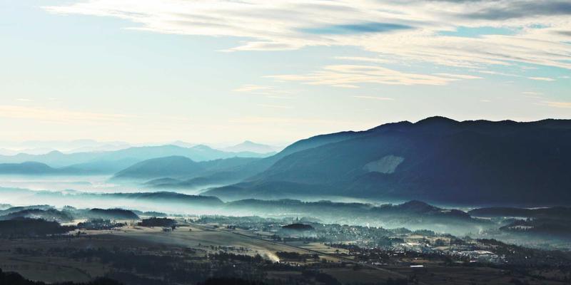法律咨询指南：踩踏事件中如何维护法律权利与获取法律援助