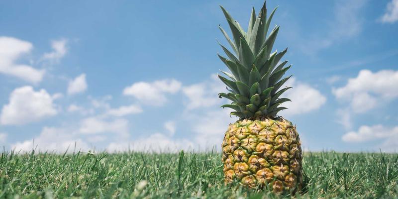 游乐设施安全事故频发：深度解析事故原因与运营方风险管理策略