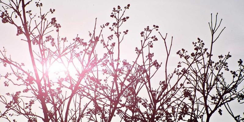 高空抛物致人伤害：证据收集、责任认定与民事索赔全流程指南